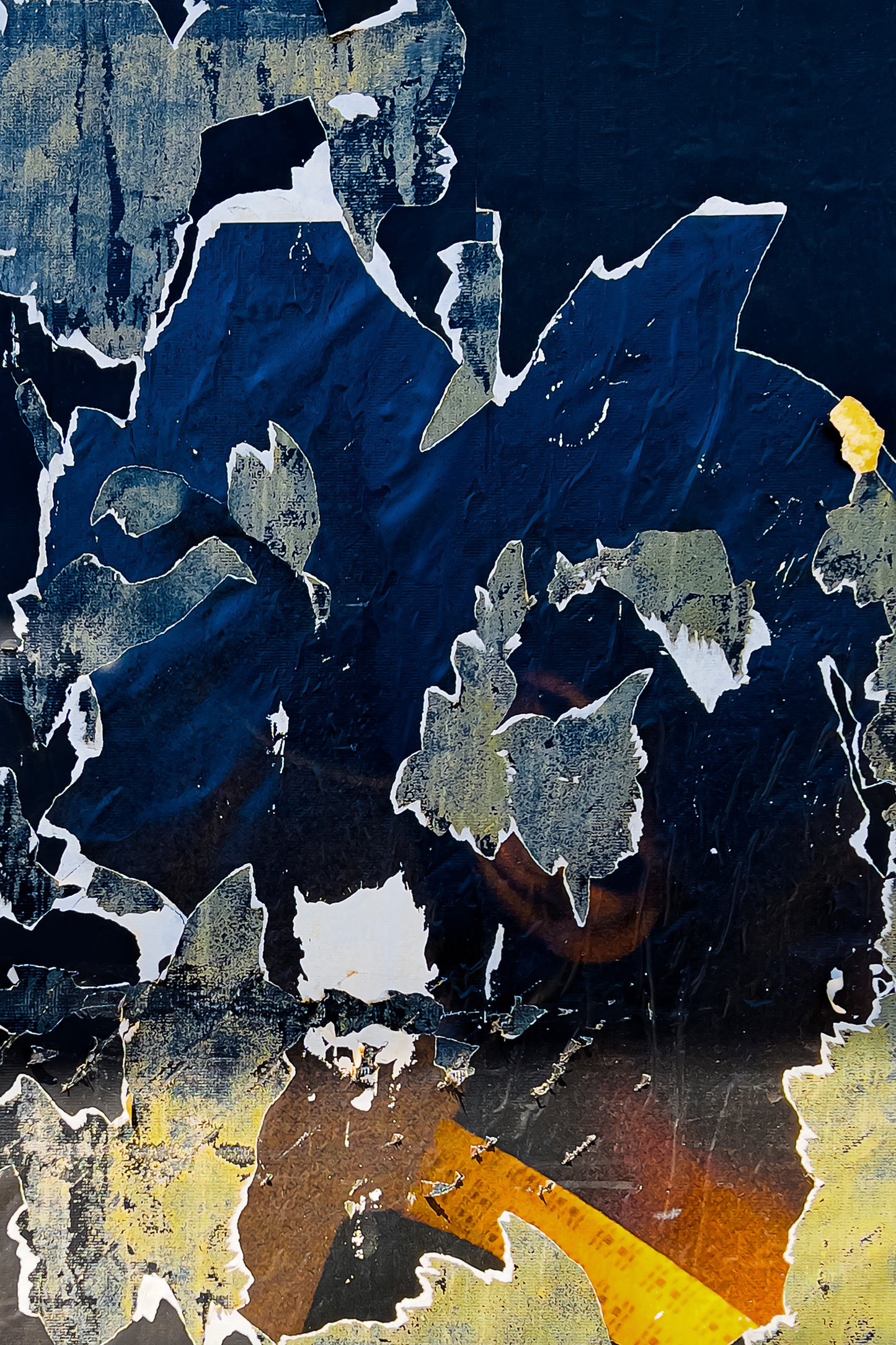 Torn
