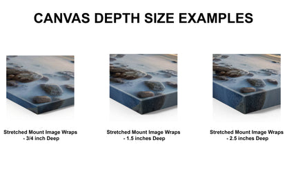 Visualizations