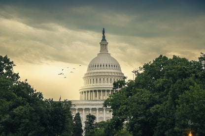 Morning Capitol