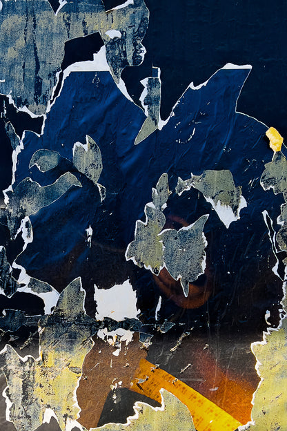Torn